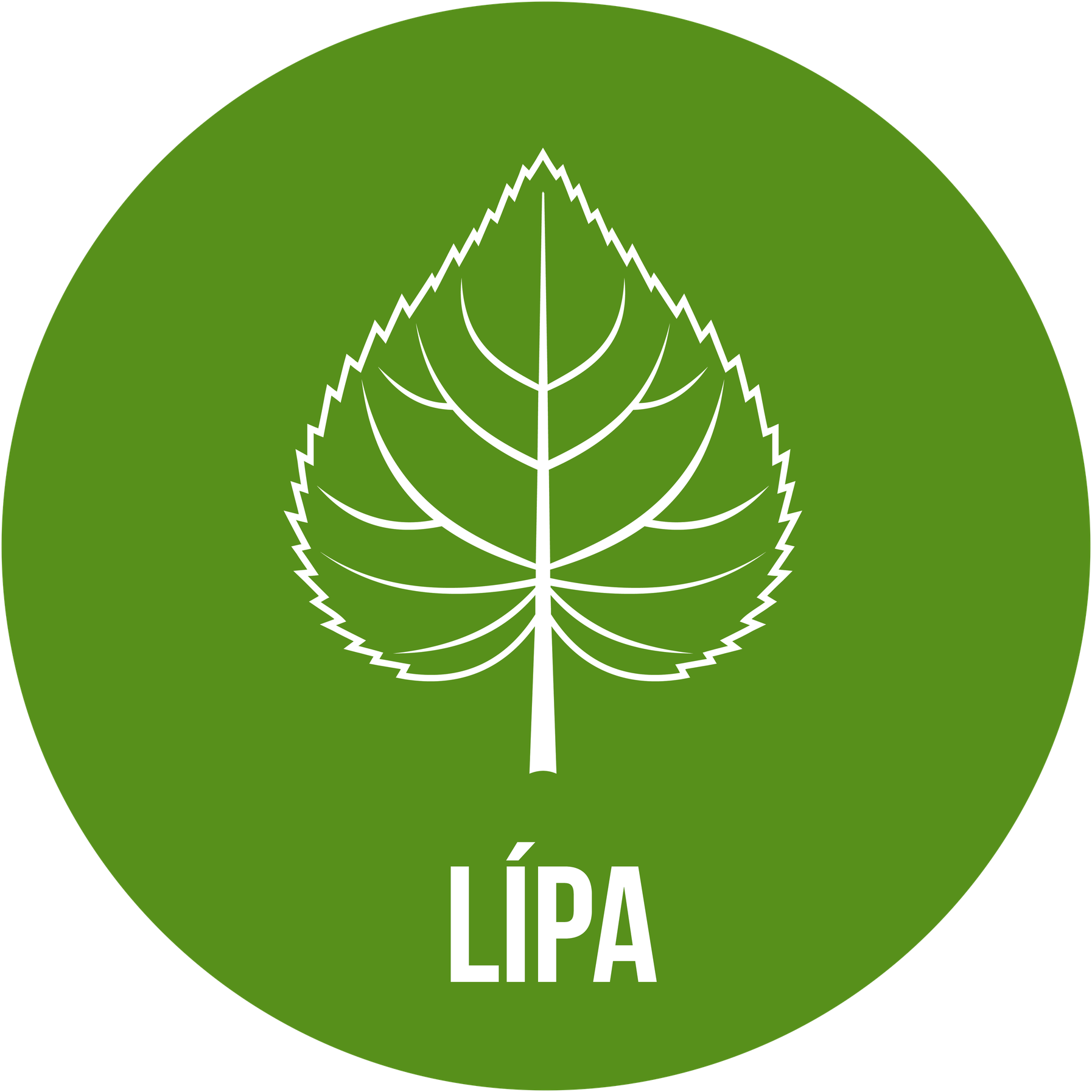LÍPA komunitní centrum, spolek